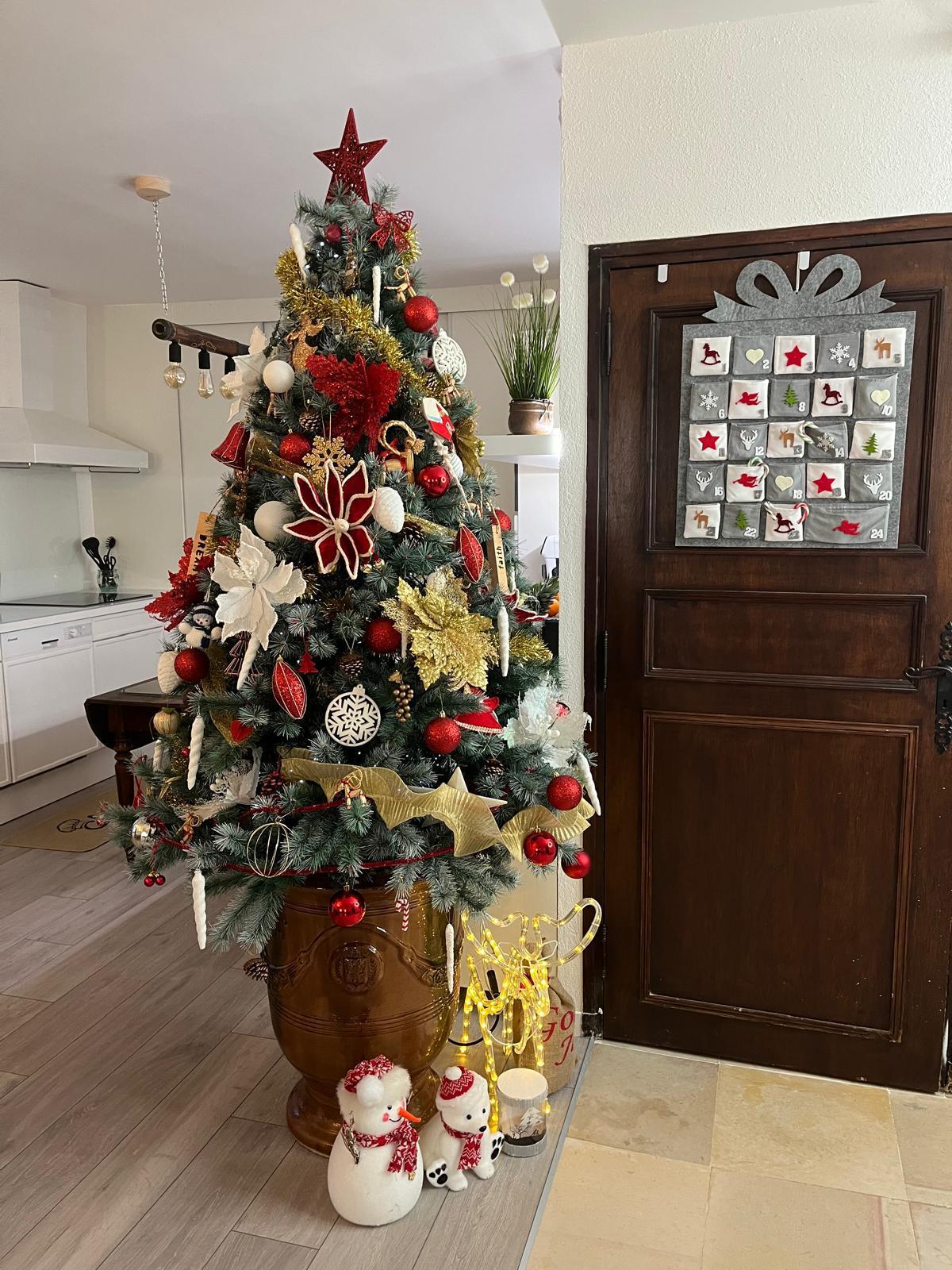 Winter view at Mas Soleirol